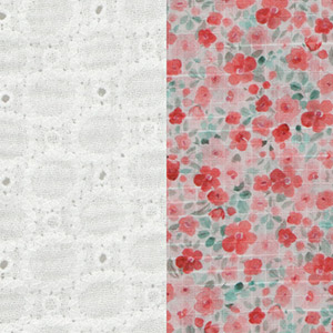 Coral 011-20227