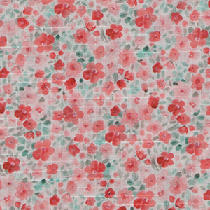 Coral 047-20227